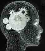 возможности человеческого мозга