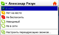 статус skype