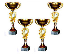 кубок признания