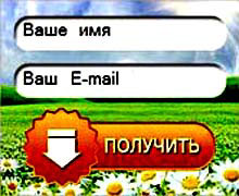 форма подписки на рассылку