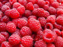 выращивание малины