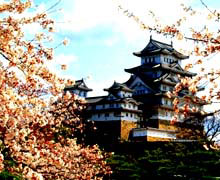 тема блога на WordPress тема блога на WordPress