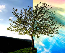 изменить фон на блоге WordPress