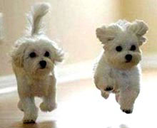 связанные записи на блоге