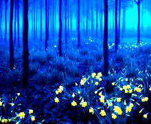 цветовой круг в природе