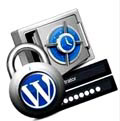 защита блога WordPress