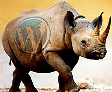 защита блога WordPress