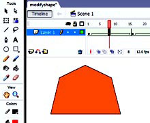 flash-анимация с заполнением формы