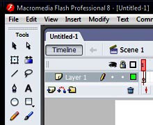 программа Macromedia Flash Professional 8