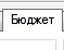 закладка бюджет в программе