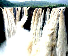 источники трафика на блог