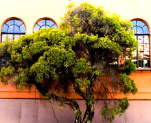 цветовые модели RGB и CMYK