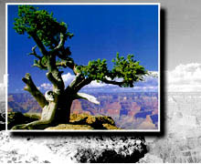 использование маски в фотошопе