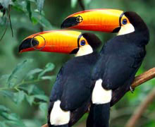 инструмент штамп