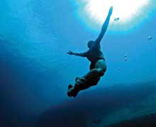 система дыхания