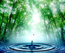 обучающие курсы