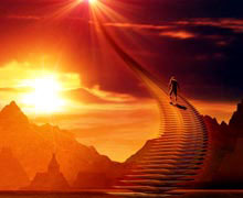 самоорганизация