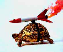 скорость загрузки сайта