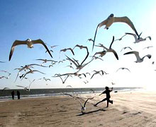 определение цвета