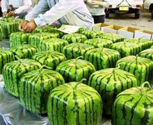 идея для сайта