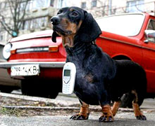 сигнализация на андроид