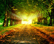 соляризация