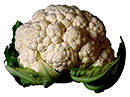 цветная капуста