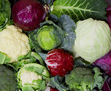 разновидности капусты