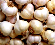 выращивание чеснока