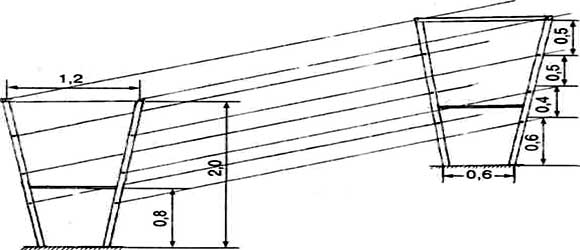 двухплоскостная шпалера
