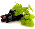 гроздья винограда