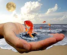 реализация поставленных целей