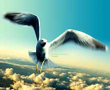 технология ТРИЗ