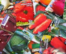 продажа семян онлайн