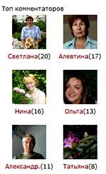 виджет ТОП комментаторов