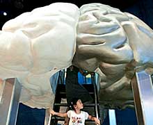 методы развития памяти