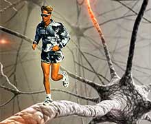 развитие памяти, внимания, мышления