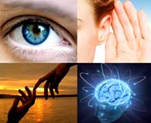 репрезентативная система