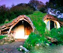 жилье лисья нора жилье лисья нора